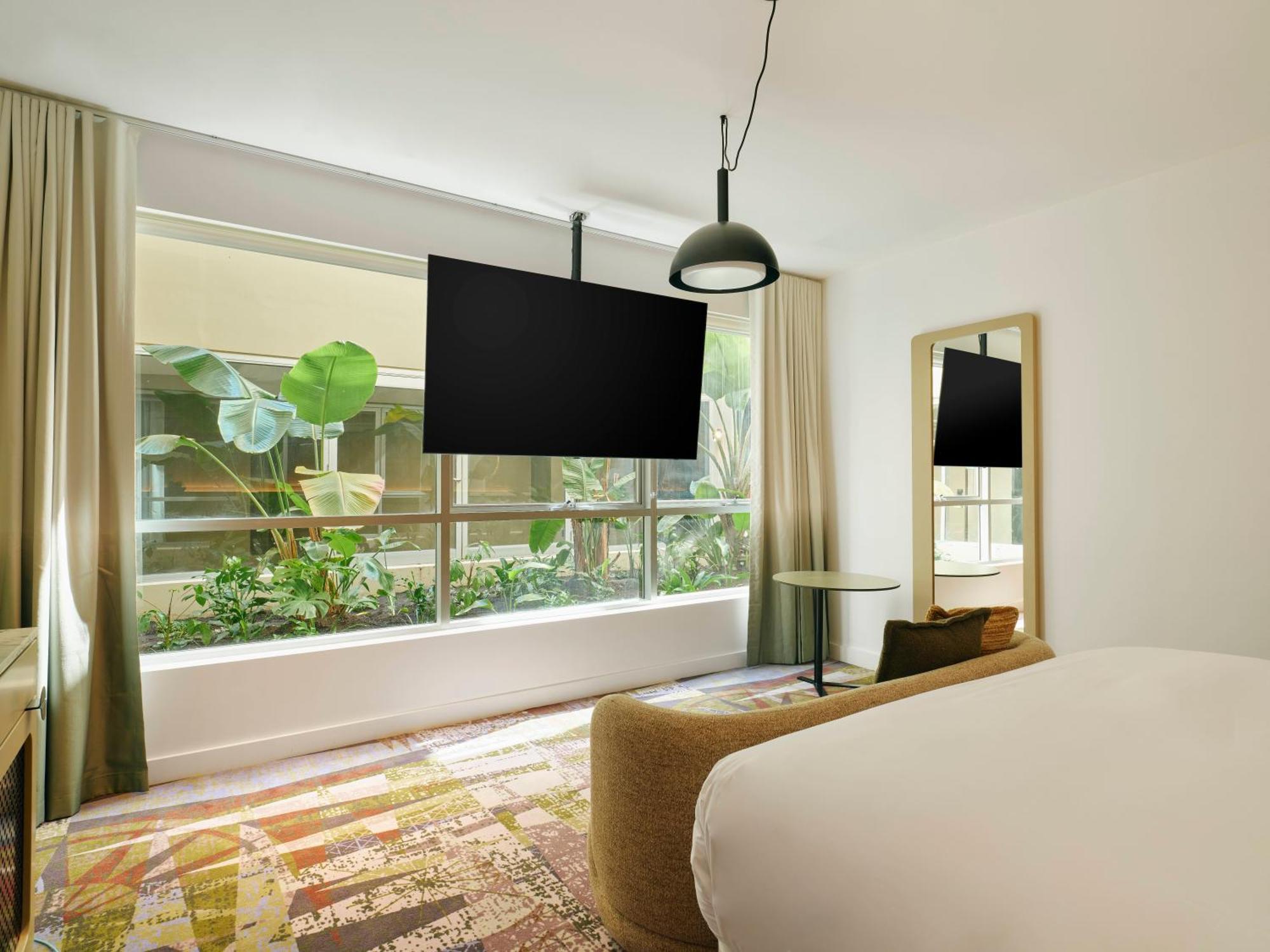 The Suite